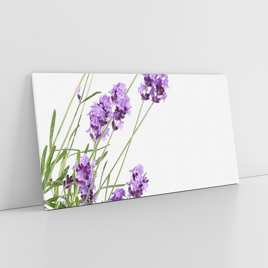 Obraz na płótnie 100x50 - Delikatny Urok - lawenda, kwiaty