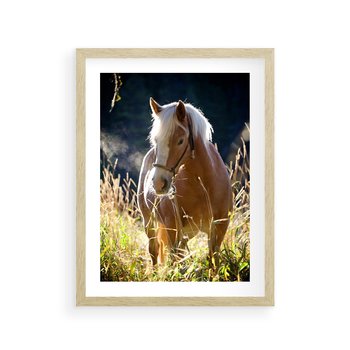 Plakat w ramie 30x40 - Spotkanie konia na łące - koń, łąka - rama drewno