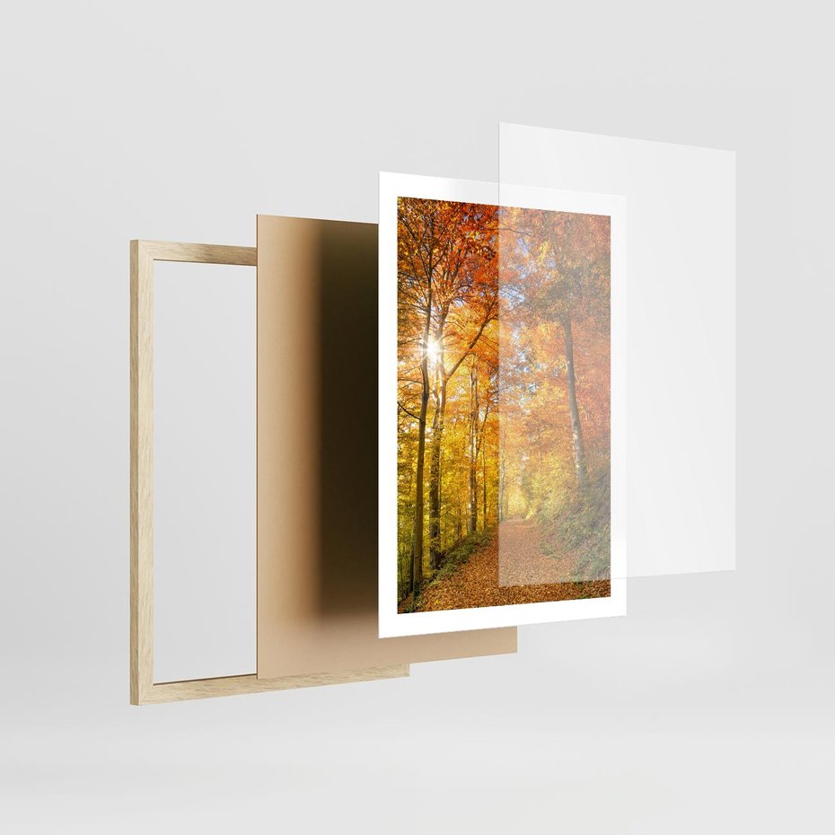 Plakat w ramie 50x70 - Złote barwy jesiennego lasu - las, jesień - rama drewno