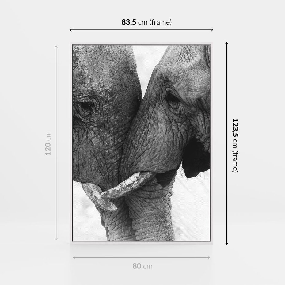 Obraz w ramie 80x120 - Spotkanie Mądrości - fotografia czarno biała, dwa słonie - rama biała