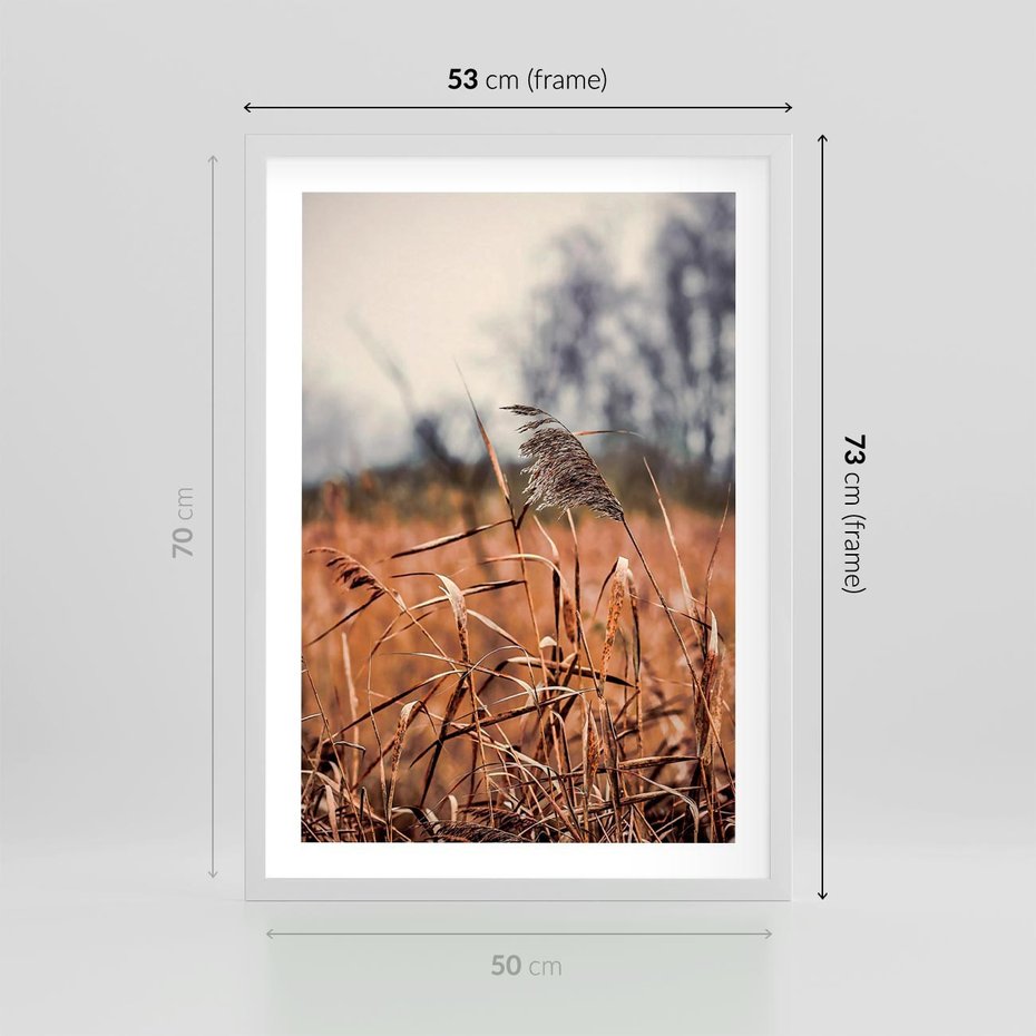 Plakat w ramie 50x70 - Jesienna Melancholia - suche trawy, jesień - rama biała