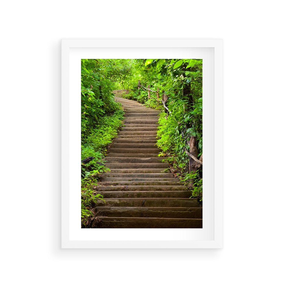 Plakat w ramie 30x40 - Magia Leśnej Ścieżki - ścieżka, w lesie - rama biała