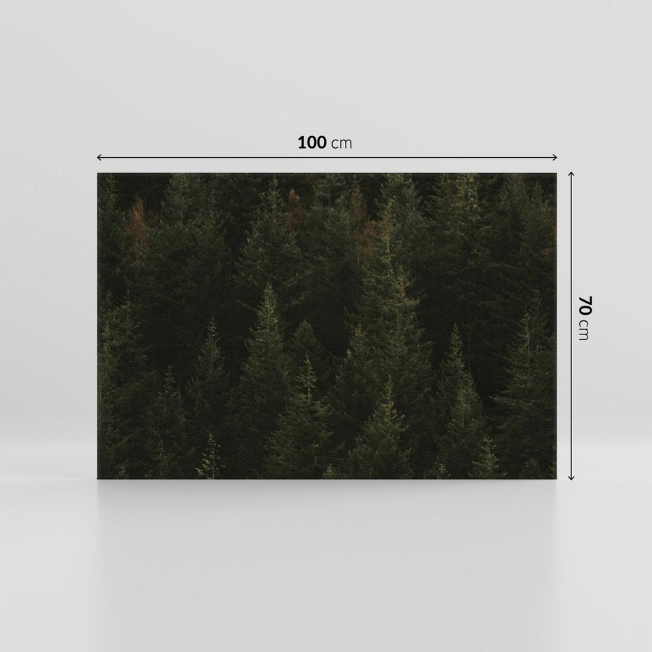Obraz na płótnie 100x70 - Ciemny las iglasty - las, iglasty