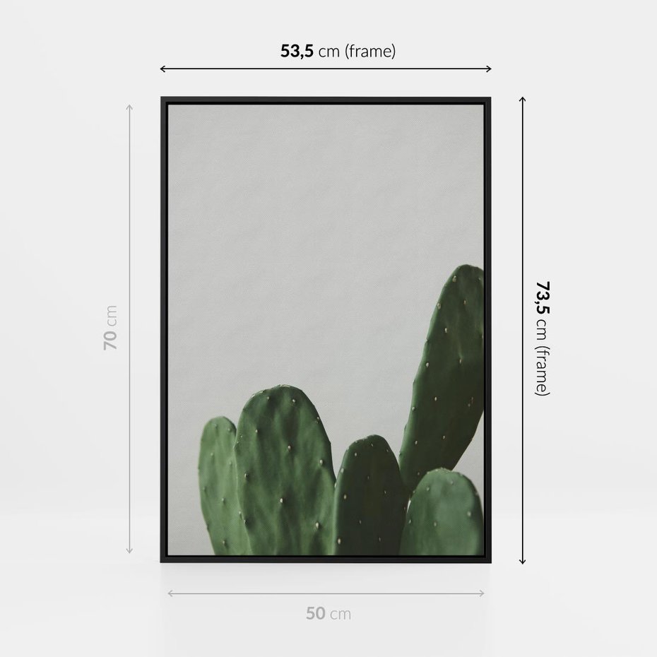 Obraz w ramie 50x70 - Majestatyczne Wysokości - kaktusy, liście - rama czarna