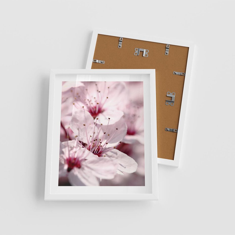 Plakat w ramie 40x50 - Kwitnąca Wiśnia - kwiaty, kwitnąca - rama biała