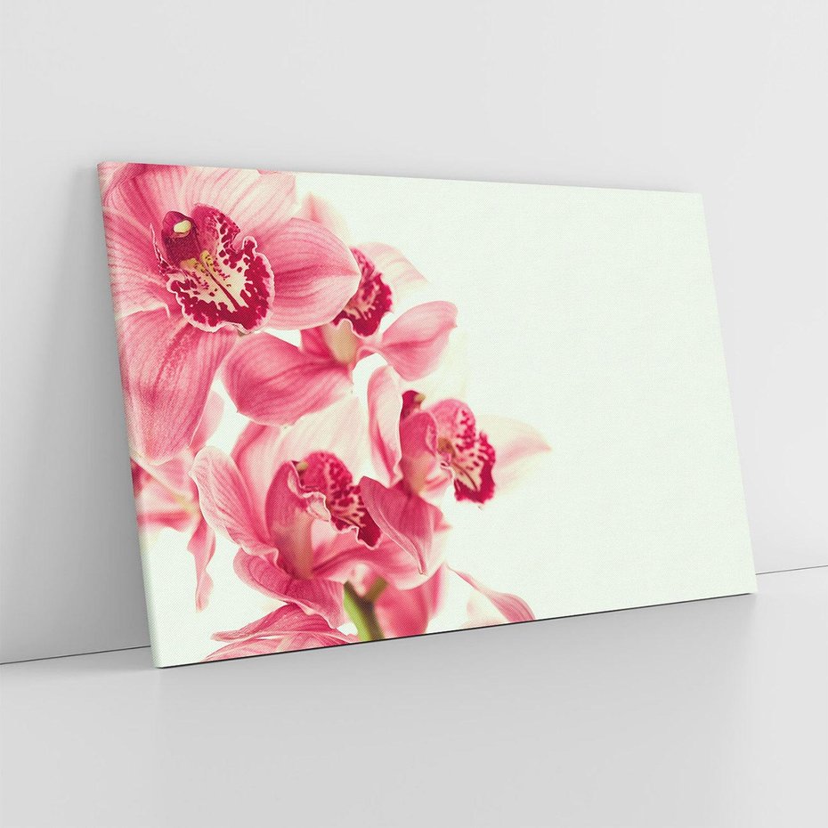 Obraz na płótnie 120x80 - Orchidea - delikatne kwiaty - orchidea, kwiaty