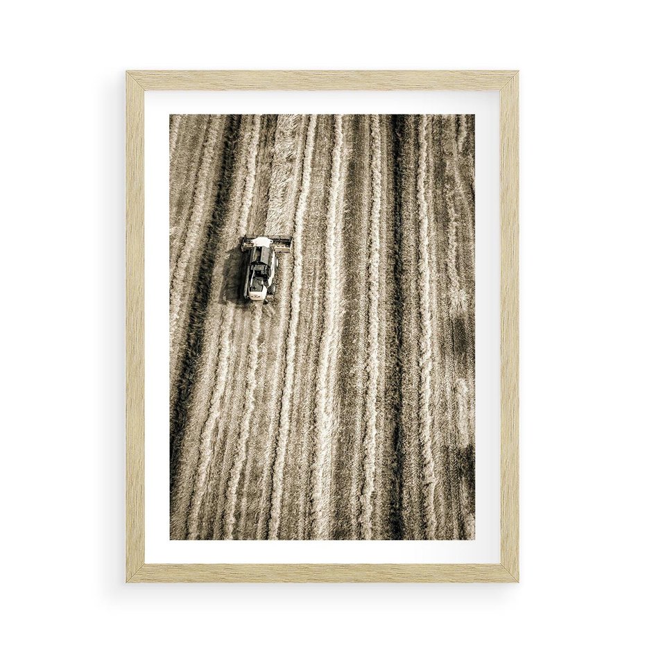 Plakat w ramie 50x70 - Sepia na Polu - kombajn, pole - rama drewno