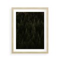 Plakat w ramie 40x50 - Ciemny las iglasty - las, iglasty - rama drewno