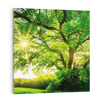 Obraz na płótnie 50x50 - Natura w pełnym rozkwicie - drzewo, niebo