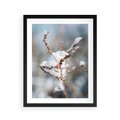 Plakat w ramie 40x50 - Zimowy Urok Natury - gałązki pod śniegiem, natura - rama czarna