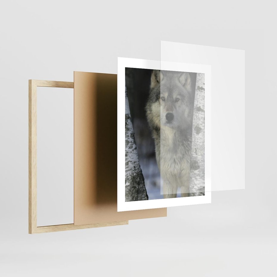 Plakat w ramie 40x50 - Wilk w Zimowym Lesie - wilk, las - rama drewno