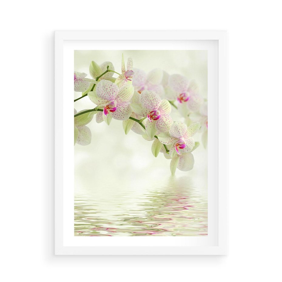Plakat w ramie 50x70 - Orchidea w Spa - orchidea, kwiaty - rama biała