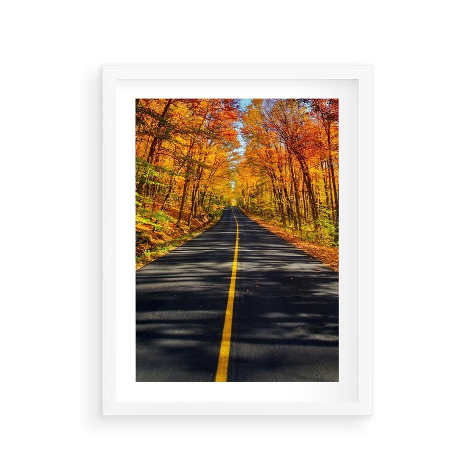 Plakat w ramie 30x40 - Droga przez jesienny las - droga, las - rama biała