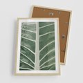 Plakat w ramie 50x70 - Zielone Wielkości: Zbliżenie Liścia - zbliżenie duz liść, jasna zieleń - rama drewno