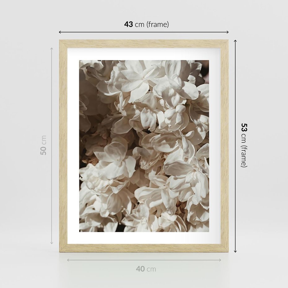 Plakat w ramie 40x50 - Płatki w Detalu - białe kwiaty, zbliżenie - rama drewno
