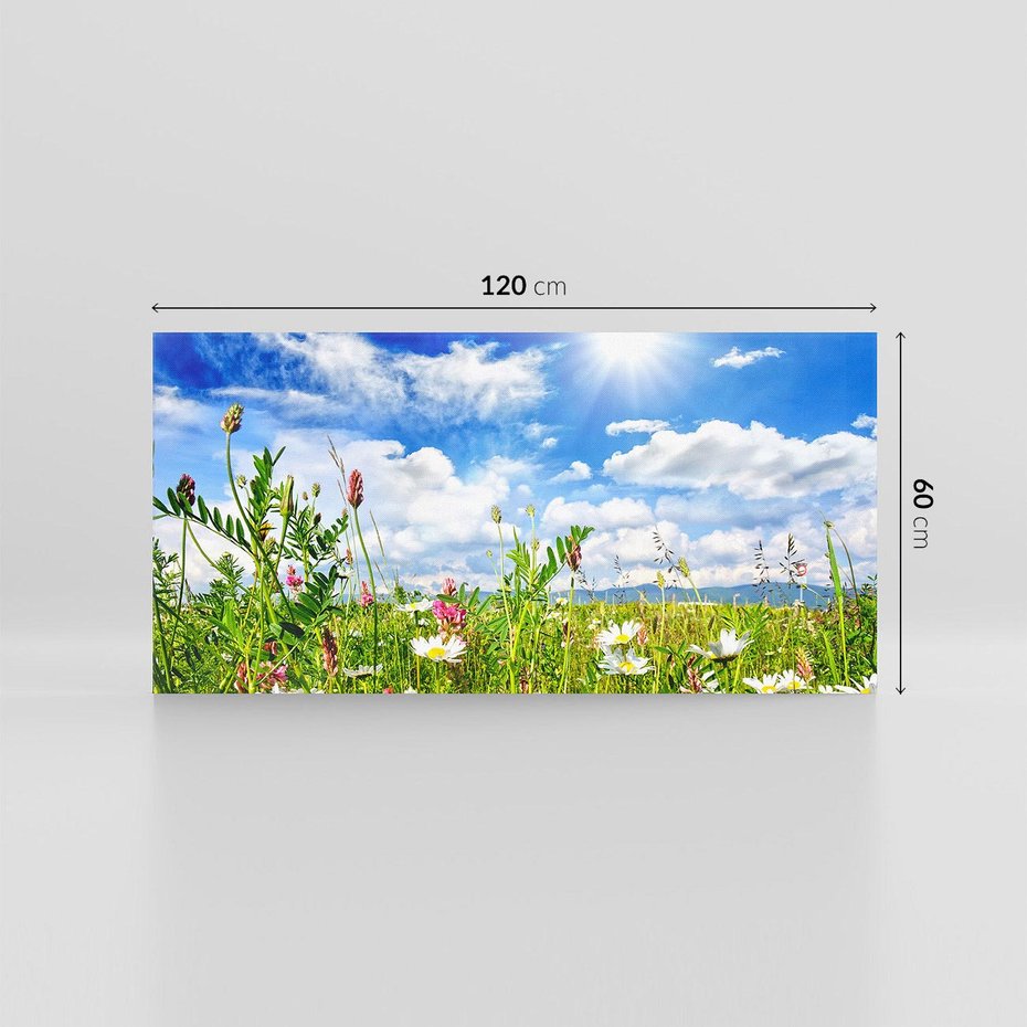 Obraz na płótnie 120x60 - Niebiańska łąka pełna kwiatów - łąka, niebo