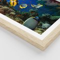 Plakat w ramie 50x70 - Podwodne królestwo rafy koralowej - rafa, koralowa - rama drewno