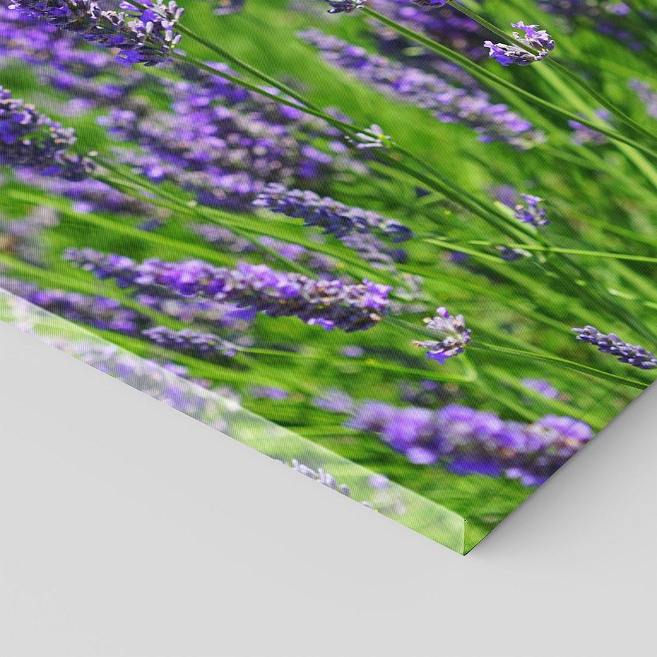 Obraz na płótnie 50x70 - Lawendowe pola piękno natury - lawenda, kwiaty