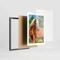 Plakat w ramie 30x40 - Elegancki wierzchowiec - koń, portret - rama czarna