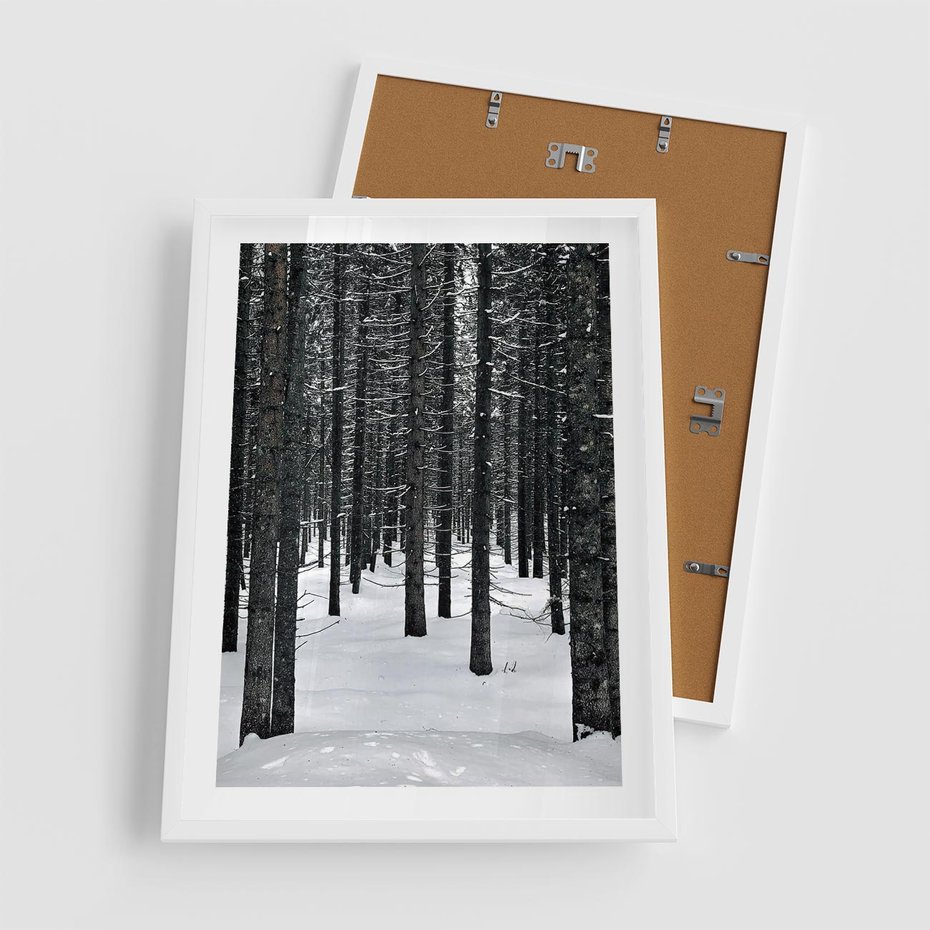 Plakat w ramie 50x70 - Zimowe Drzewa: Śnieg na Pniach - drzew w zimi, pnie drzew - rama biała