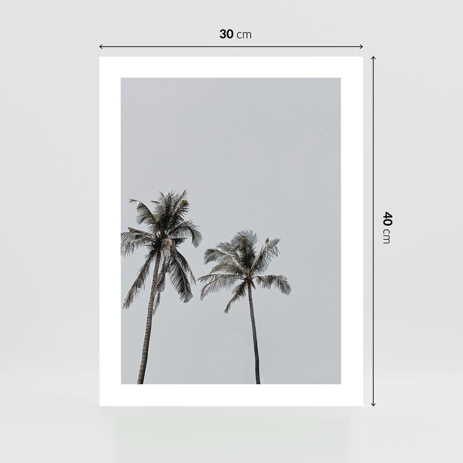 Plakat bez ramy 30x40 - Tropikalny Raj: Palmy i Niebo - palmy, niebo