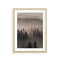 Plakat w ramie 30x40 - Mglista Opowieść Lasu - las, mgła - rama drewno