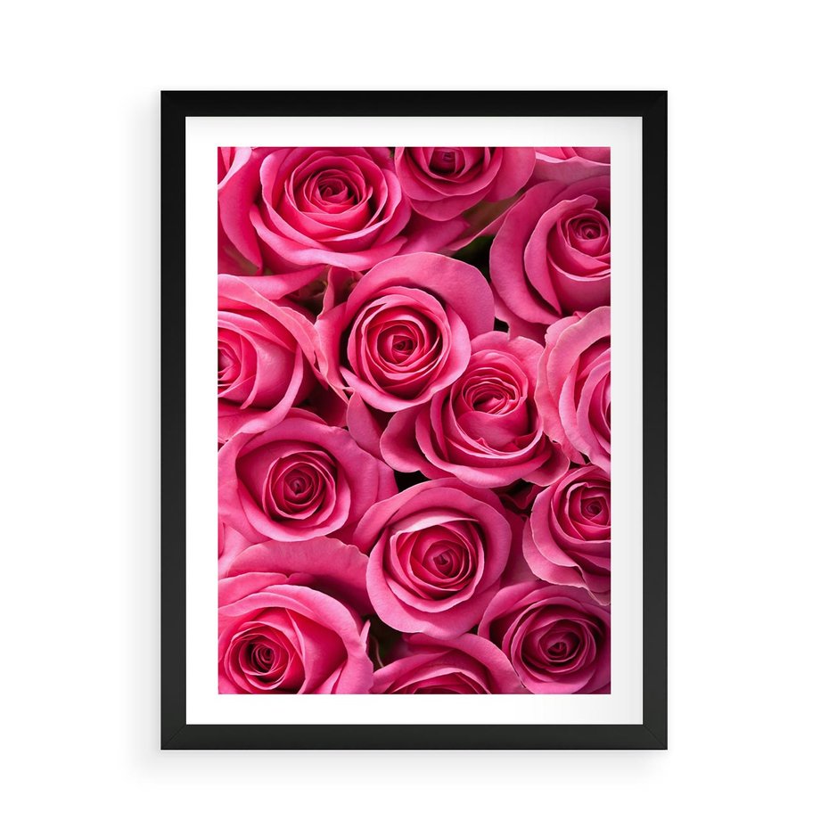 Plakat w ramie 50x70 - Romantyczne róże w pełnym rozkwicie - róże, kwiaty - rama czarna