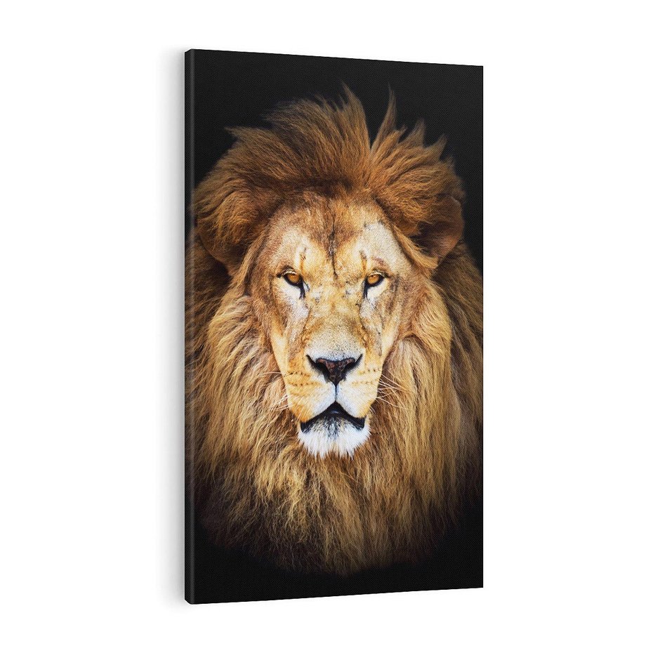 Obraz na płótnie 70x100 - Król zwierząt w majestatycznym stylu - lew, król