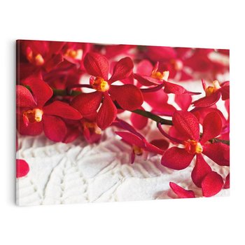 Obraz na płótnie 70x50 - Delikatność Kwiatowej Elegancji - orchidea, kwiat