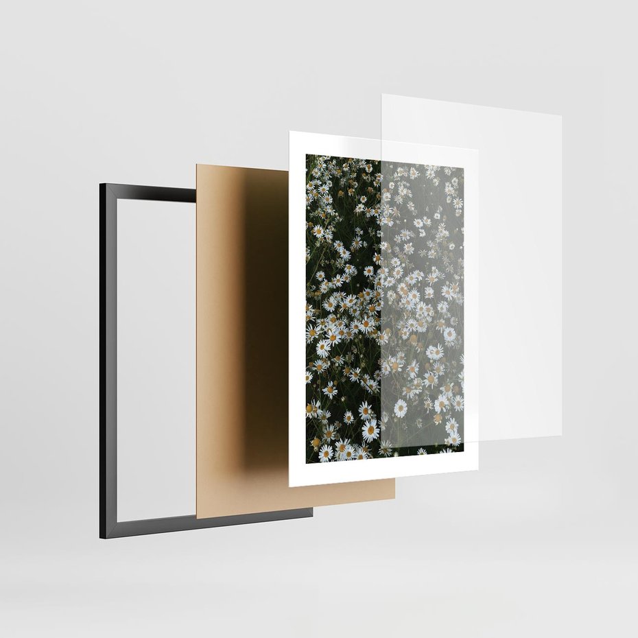 Plakat w ramie 30x40 - Stokrotkowa Idylla na Łące - łąka, stokrotki - rama czarna