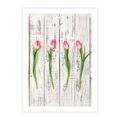 Plakat bez ramy 21x30 - Kwintesencja Piękna - kwiaty, tulipany