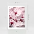 Plakat w ramie 40x50 - Kwitnąca Wiśnia - kwiaty, kwitnąca - rama biała