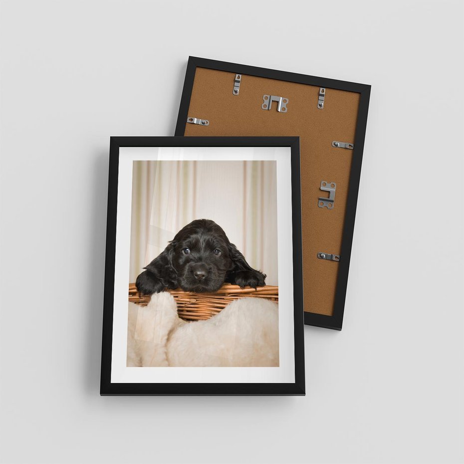 Plakat w ramie 30x40 - Uroczy szczeniak w akcji - piesek, szczeniak - rama czarna