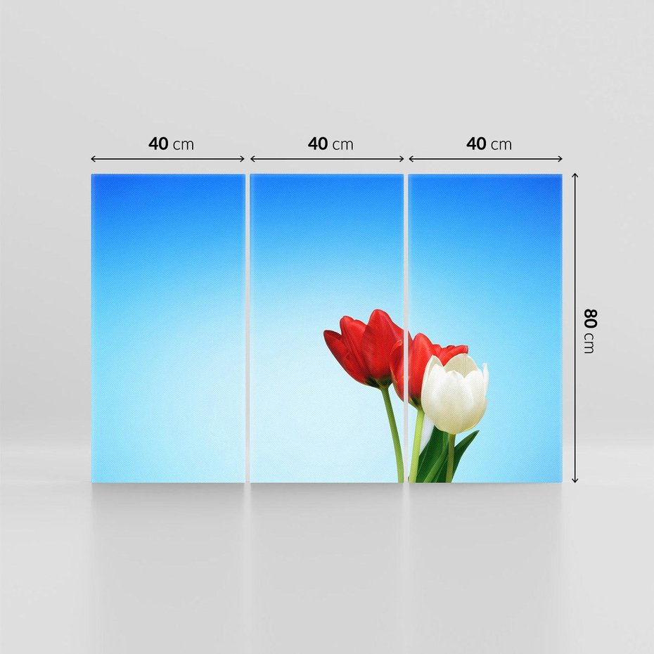 Obraz na płótnie 120x80 - Tulipanowy zachwyt - tulipany, kwiaty