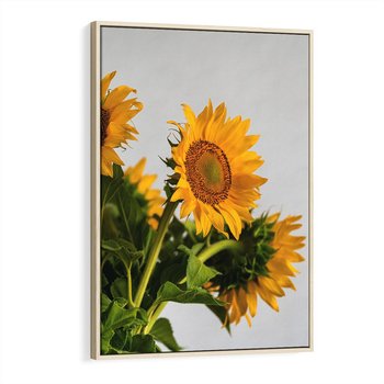 Obraz w ramie 70x100 - Słoneczna Radość - fotografia, żółte słoneczniki - rama drewno