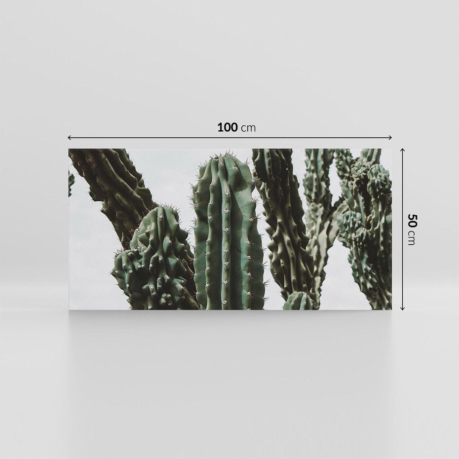 Obraz na płótnie 100x50 - Boho oaza wśród kaktusów - kaktusy, pustynia