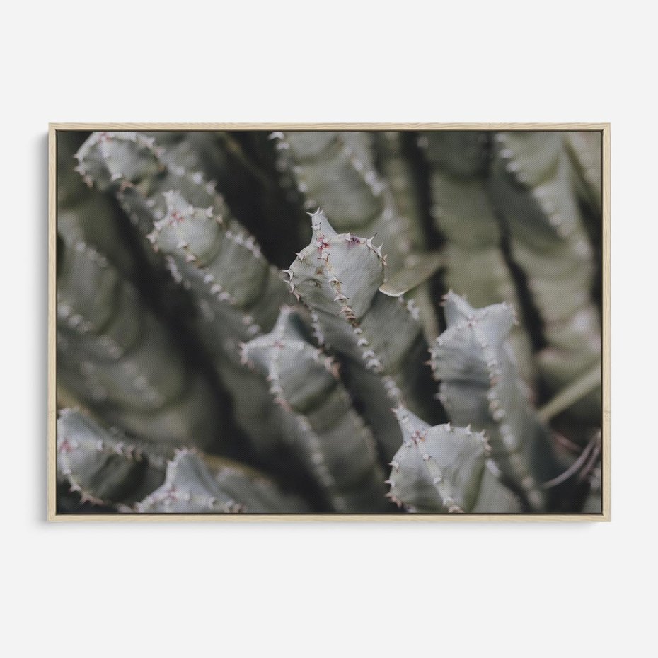 Obraz w ramie 120x80 - Boho kaktusy na pustyni - kaktusy, pustynia - rama drewno