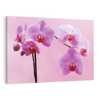 Obraz na płótnie 120x80 - Elegancka orchidea w pełnym rozkwicie - orchidea, kwiaty