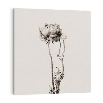 Obraz na płótnie 40x40 - Cień Kwiatowej Delikatności - kwiat, cień