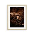 Plakat w ramie 30x40 - Gałęzie i Liść w Brązowej Tonacji - suche gałęzie, liść - rama drewno