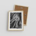 Plakat w ramie 30x40 - Siła Natury - czarno biała fotografia, korzenie wielkiego drzewa - rama drewno