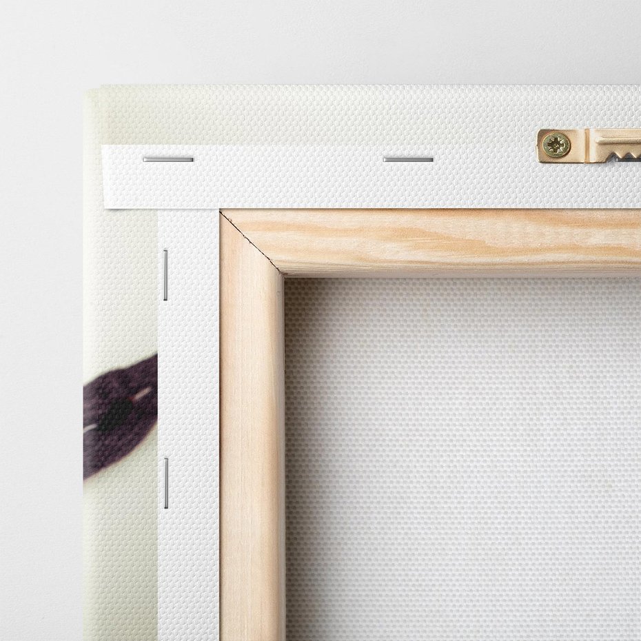 Obraz na płótnie 100x50 - Czuła delikatność wanilii - wanilia, kwiaty