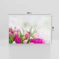 Obraz na płótnie 120x80 - Tulipany w pełnym rozkwicie - tulipany, kwiaty