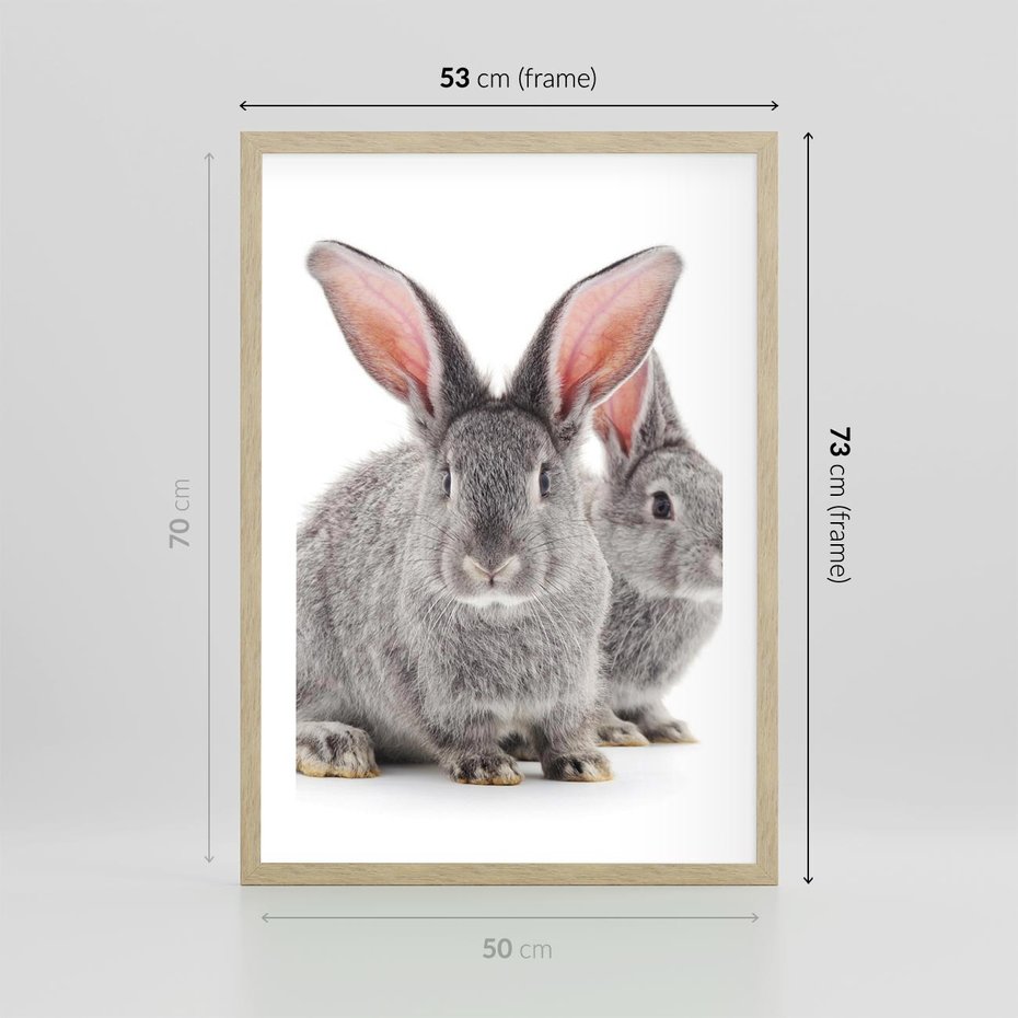 Plakat w ramie 50x70 - Uroczy królik wśród natury - królik, zając - rama drewno