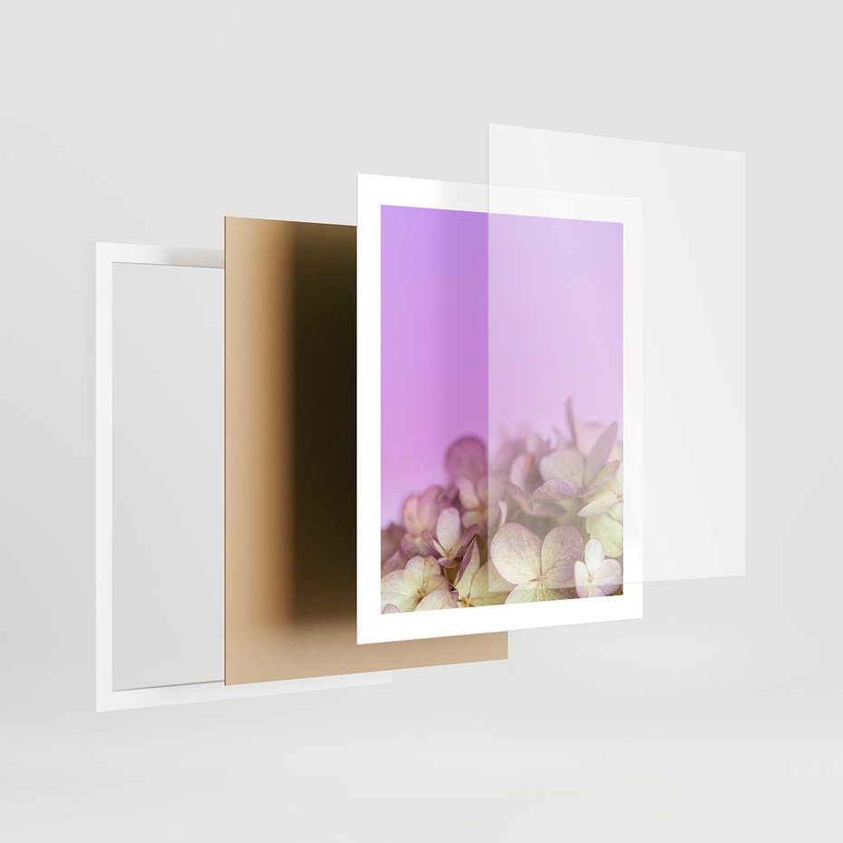 Plakat w ramie 40x50 - Kwiatowa Uroda - kwiaty, hortensje - rama biała