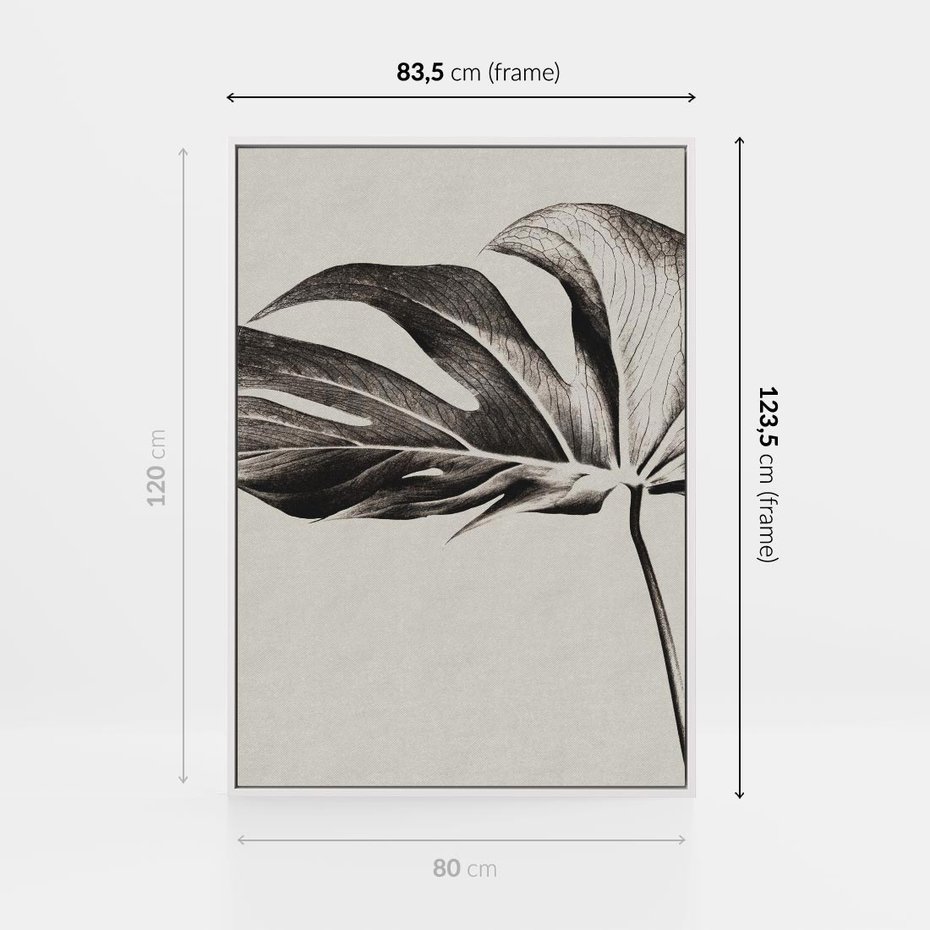 Obraz w ramie 80x120 - Szepczący Liść - szkic, czarno biały - rama biała