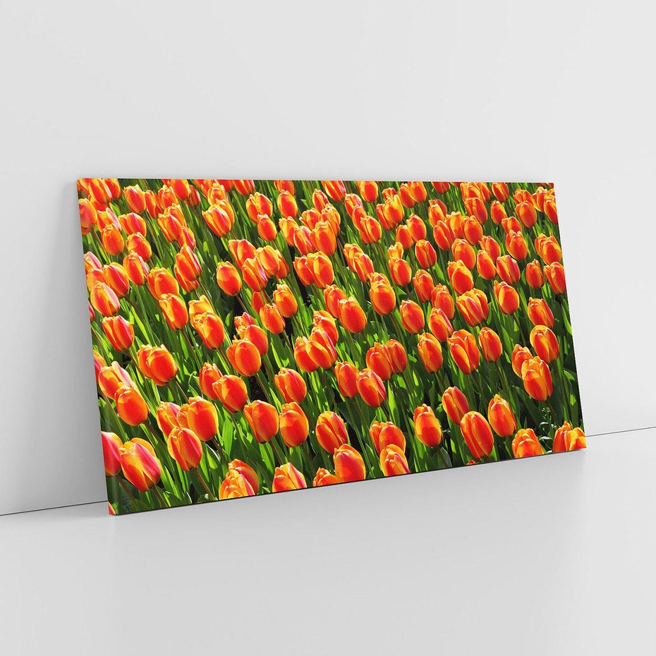 Obraz na płótnie 100x50 - Tulipanowa eksplozja - tulipany, kwiaty