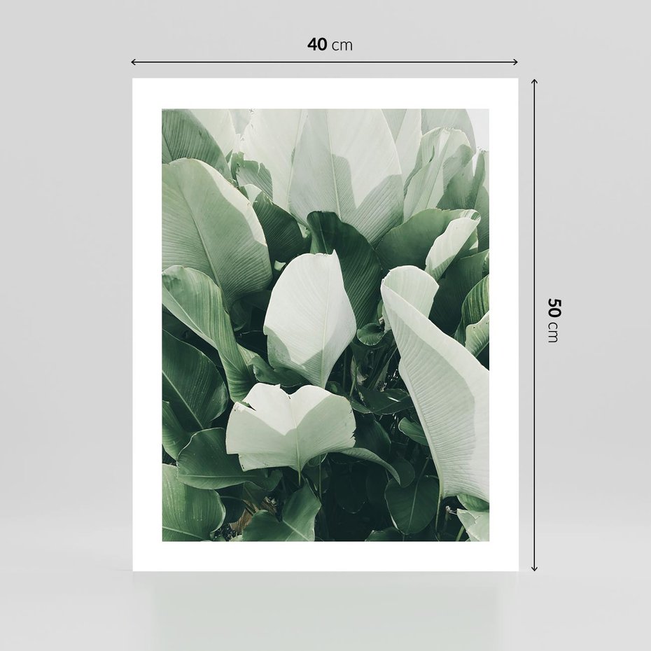 Plakat bez ramy 40x50 - Zgaszona Uroda Natury - zielone liście, zgaszona zieleń