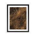 Plakat w ramie 40x50 - Szlachetna Suchość Traw - trawy, suche trawy - rama czarna