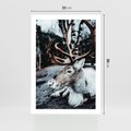 Plakat bez ramy 21x30 - W Zimowej Krainie - renifer, zima
